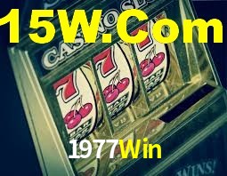 Premium Interface 1977Win